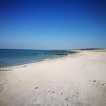 Darsser Strandgut - Haus Ahrenshooper Holz Apartmán Ahrenshoop