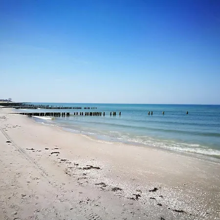 Darsser Strandgut - Haus Ahrenshooper Holz Apartmán *